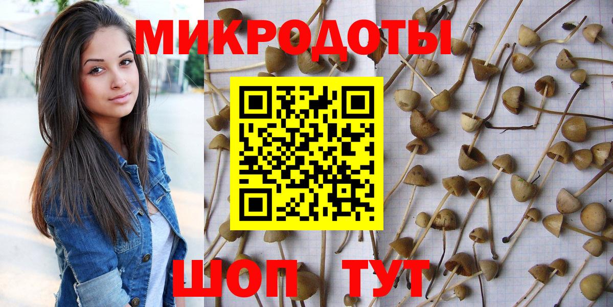 Псилоцибиновые грибы Psilocybine cubensis  Вход с VPN  Псилоцибиновые грибы MAGIC MUSHROOMS  Чайковский 